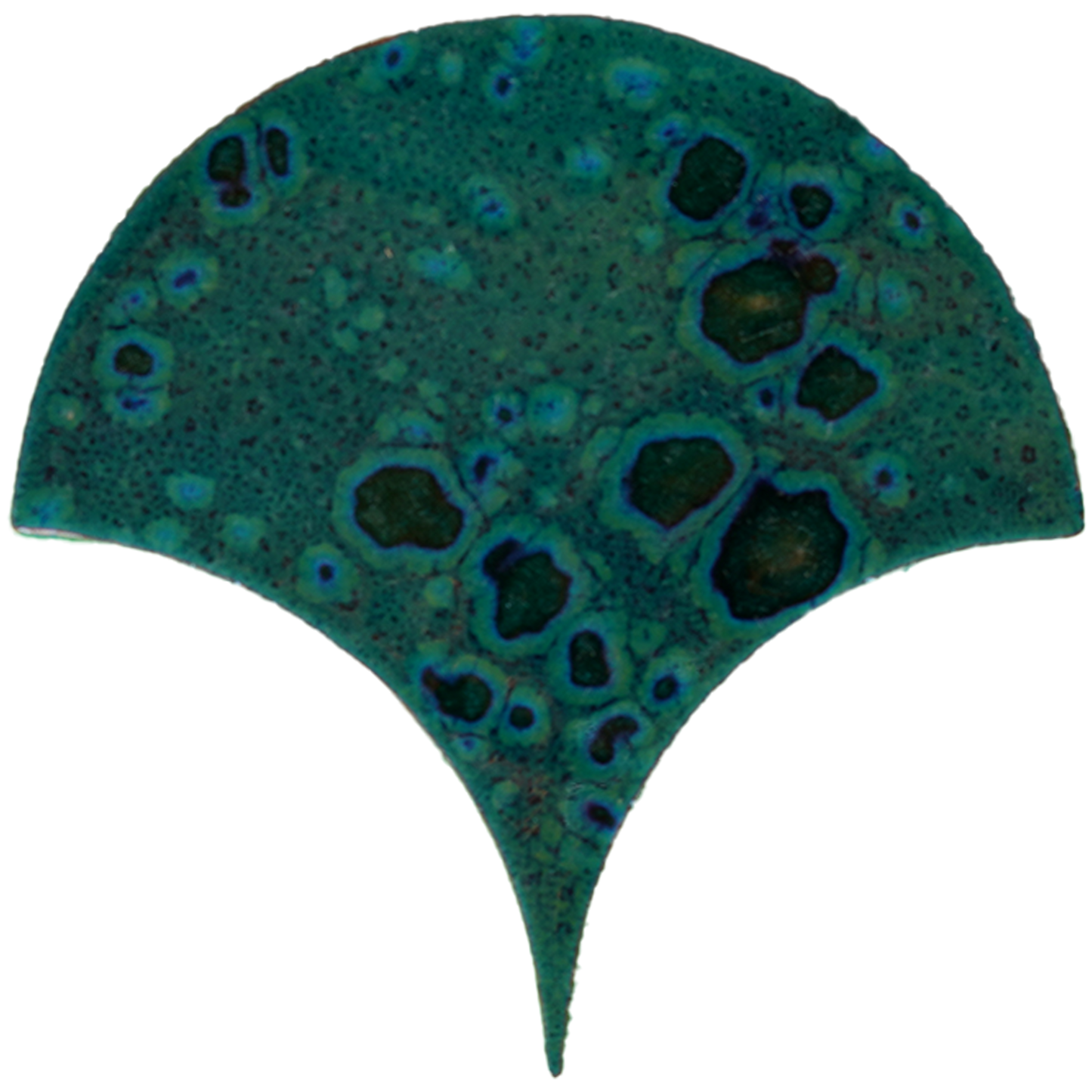 Pavoreal Fish Scale