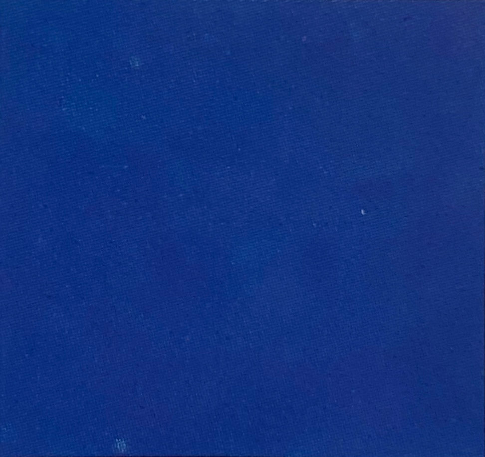 Taza Polar Azul Cobalto - Blaurtopías