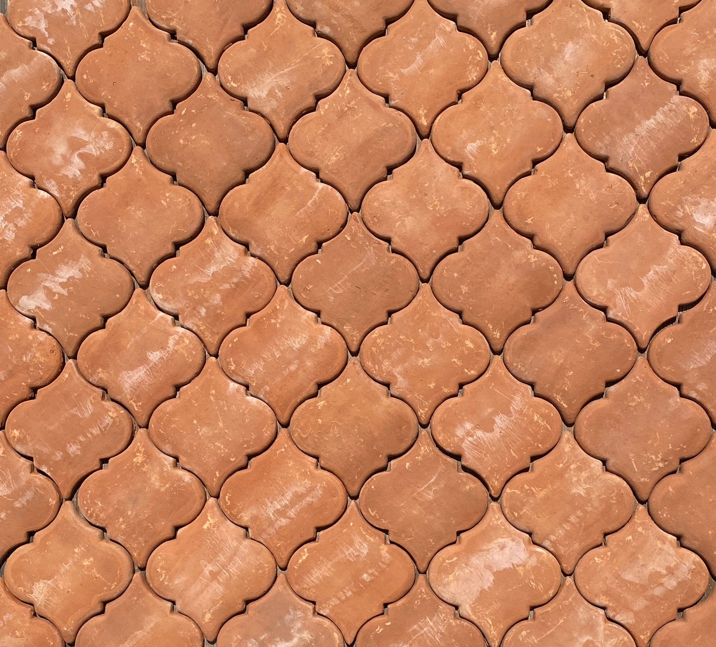 Fleur De Lis Tecate Tile