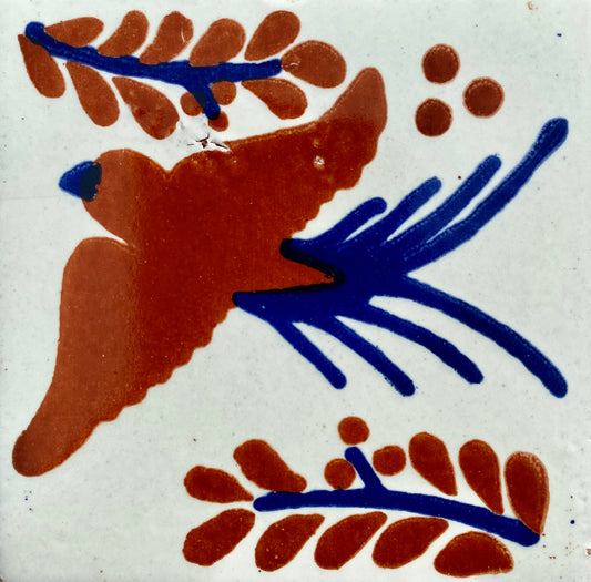 Paloma Terracotta Y Azul