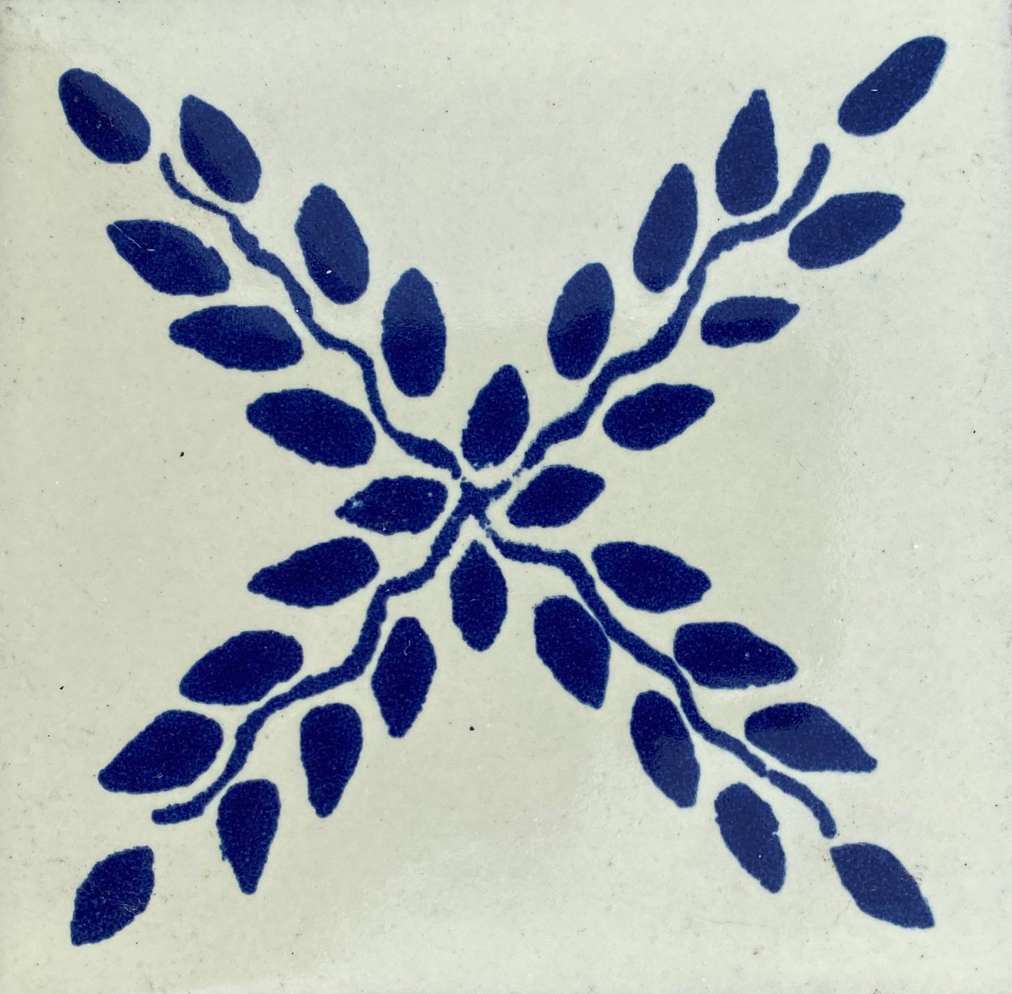 Arbor Azul