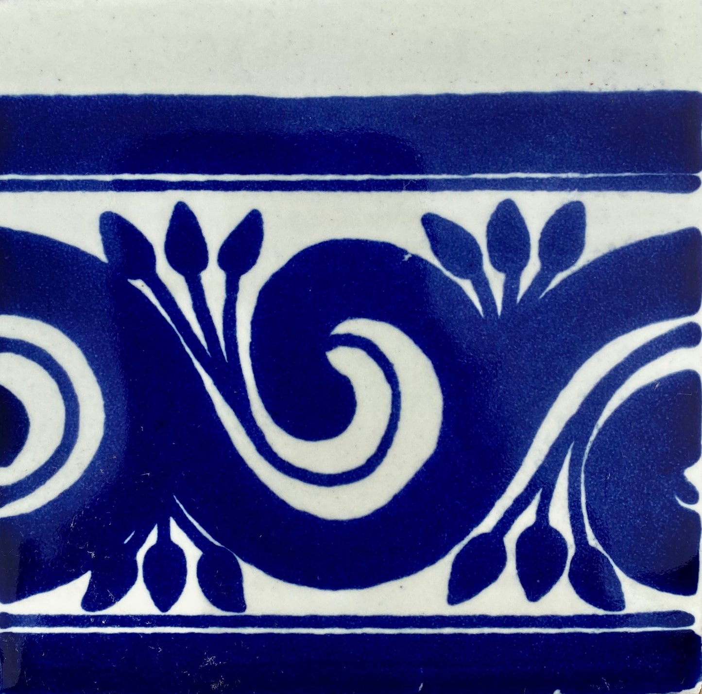 Gusano Azul