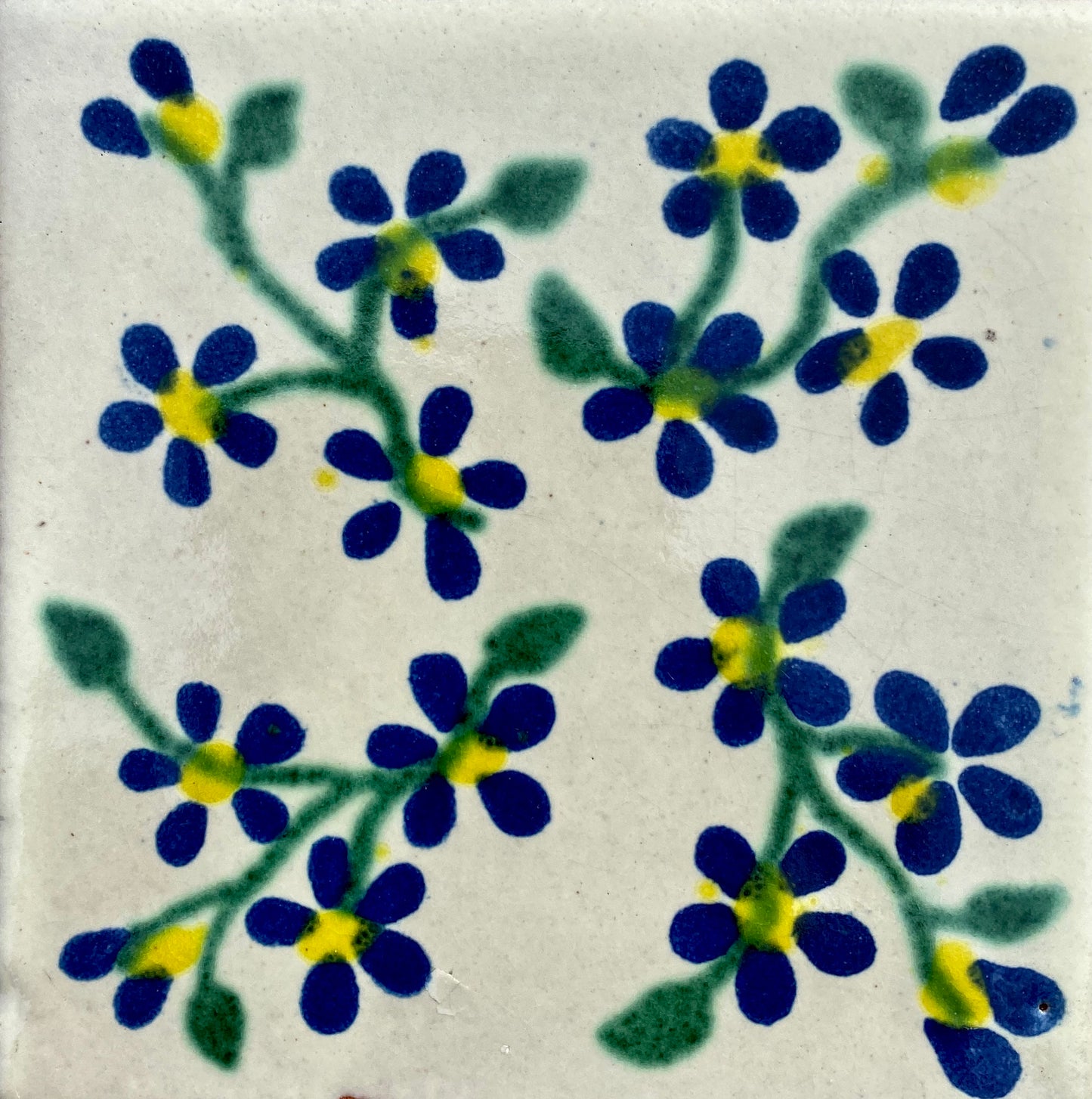 Violets Azul Y Verde