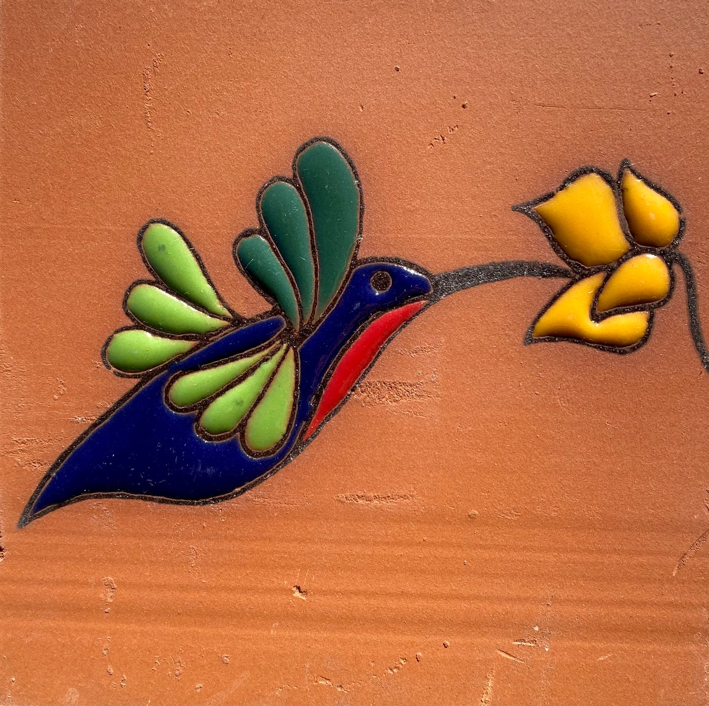 Hummingbird Juahete