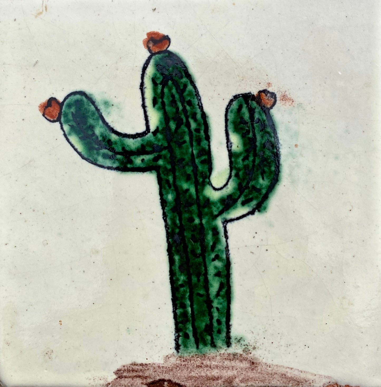 Cactus II