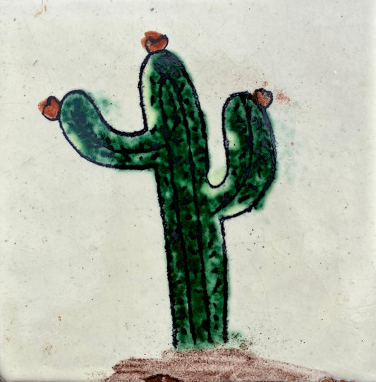 Cactus II
