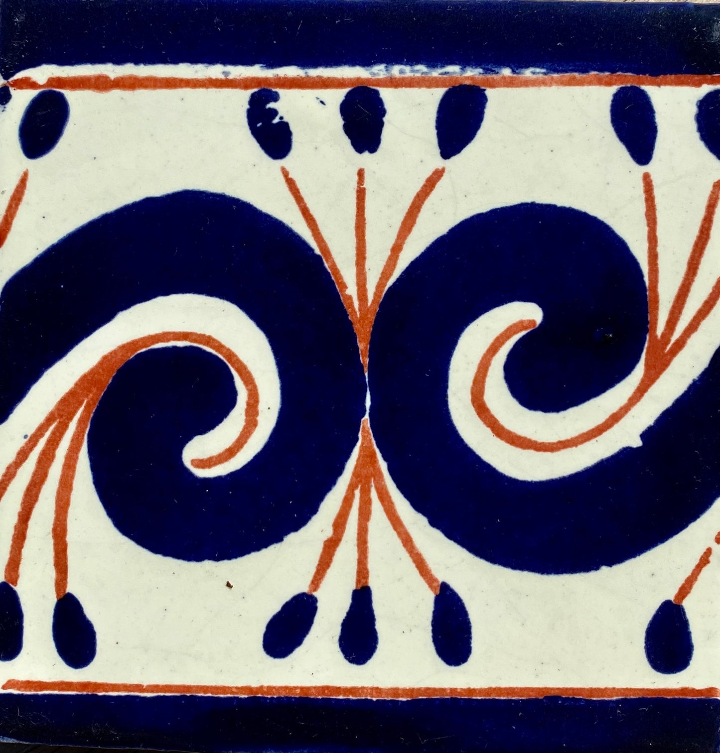Gusano Terracotta