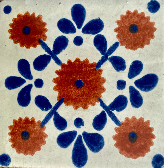 Margarite Terracotta Y Azul