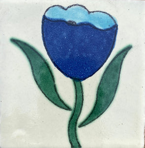 Tulipan Azul